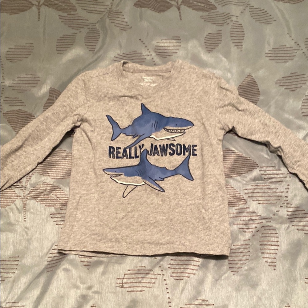 Really Jawsome Kids Shark Graphic Tee - Gray